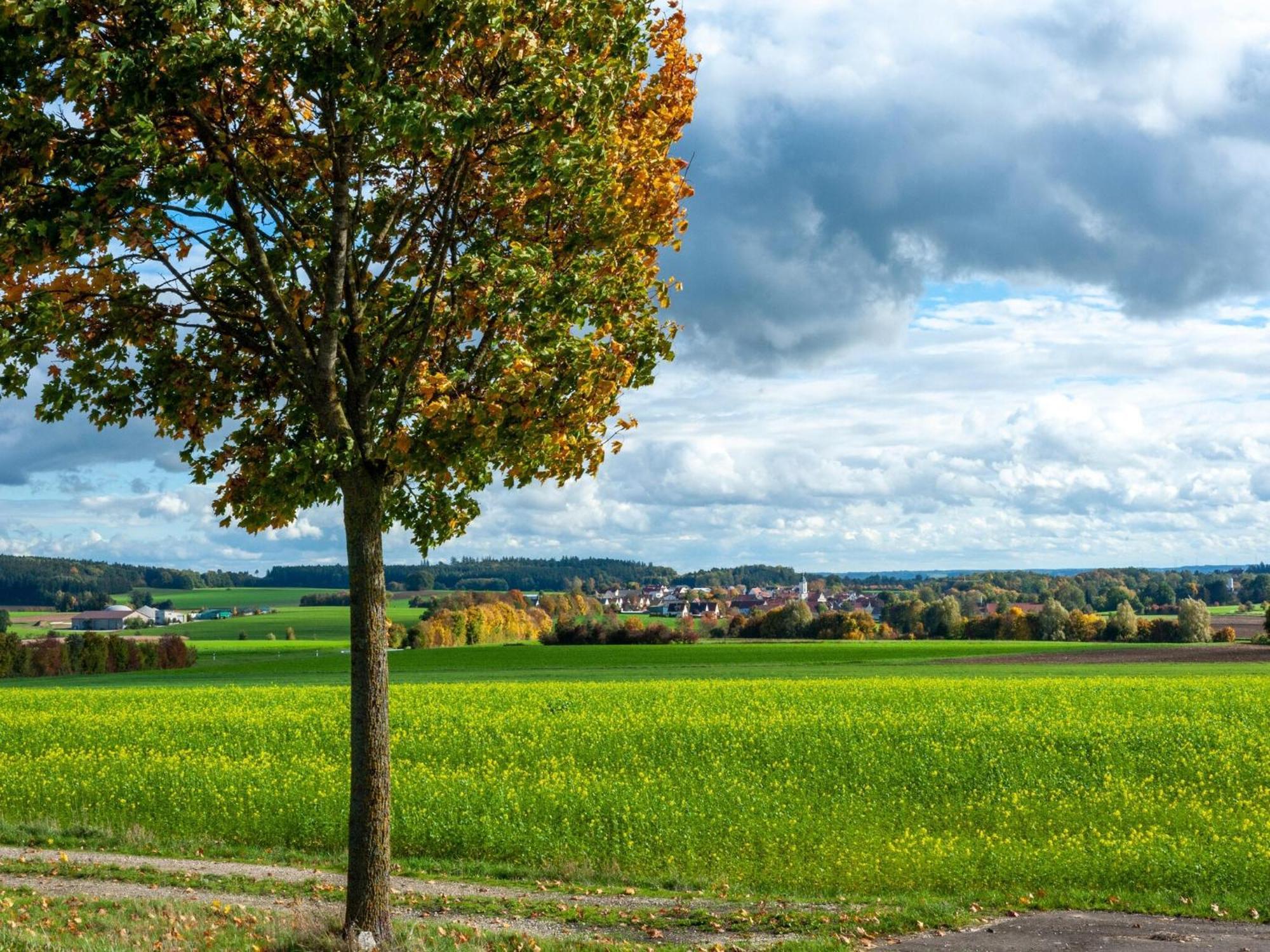 Lovely Holiday Home In Haunsheim Экстерьер фото